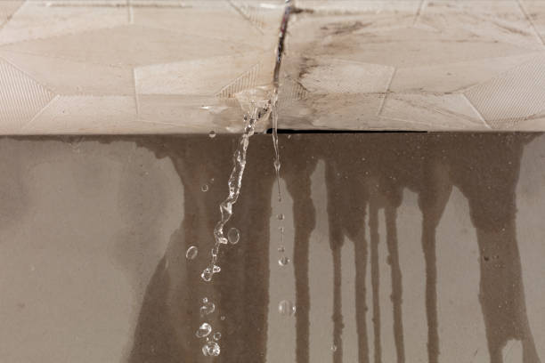 Professional Flood Damage Cleanup technician working in Richmond, IL